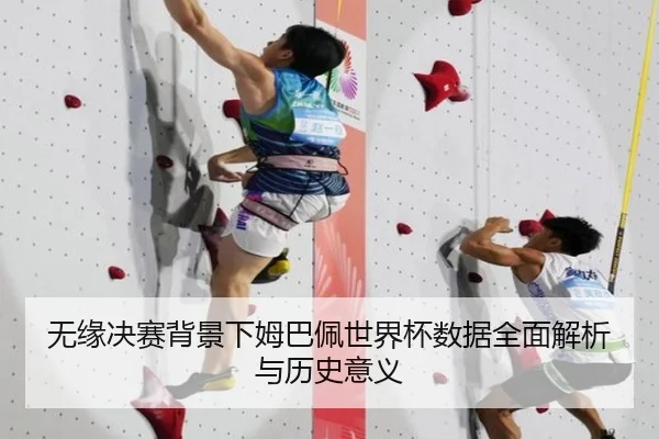 无缘决赛背景下姆巴佩世界杯数据全面解析与历史意义